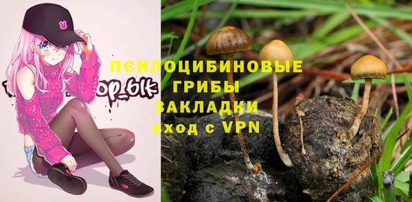 дурь Балахна