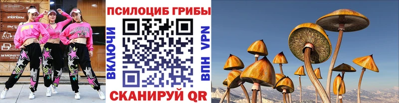 хочу   Туран  Галлюциногенные грибы Magic Shrooms 